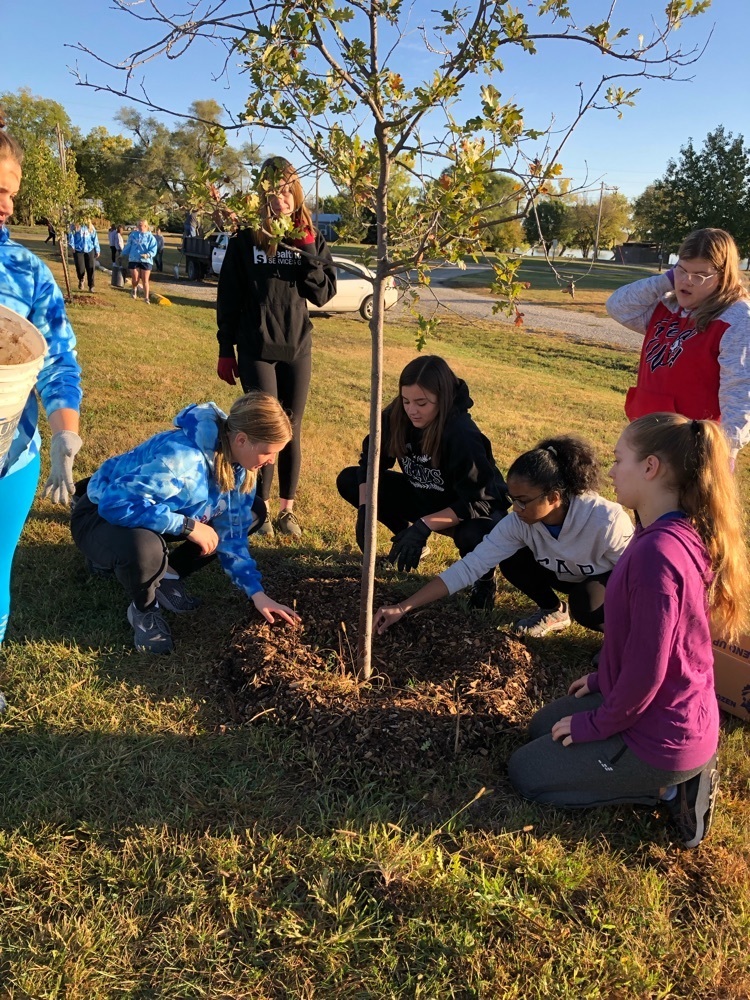 Mulching trees at Rocky Pond